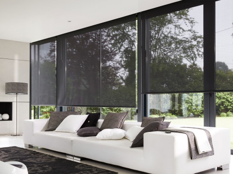 BST rèm cuốn trơn 