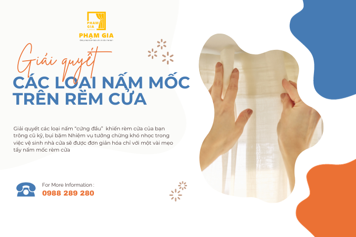 Giải quyết các loại nấm móc trên rèm cửa một cách hiệu quả