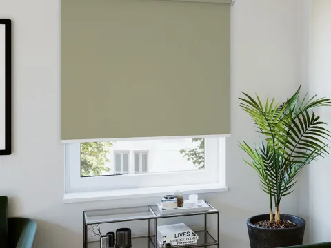 BST rèm cuốn trơn 